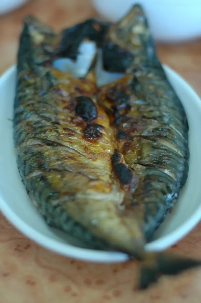Korean grilled mackerel